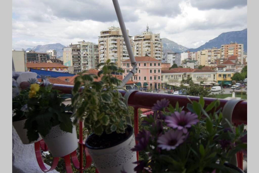 "Tata'S New Home!" Tiranë Ngoại thất bức ảnh