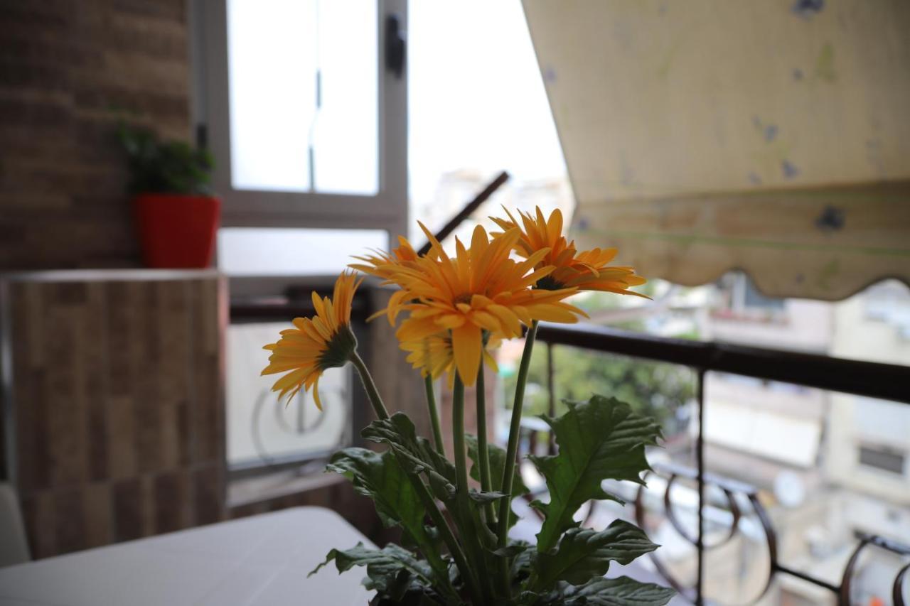 "Tata'S New Home!" Tiranë Ngoại thất bức ảnh